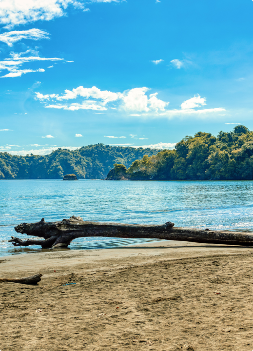 Curu Wildlife Refuge
